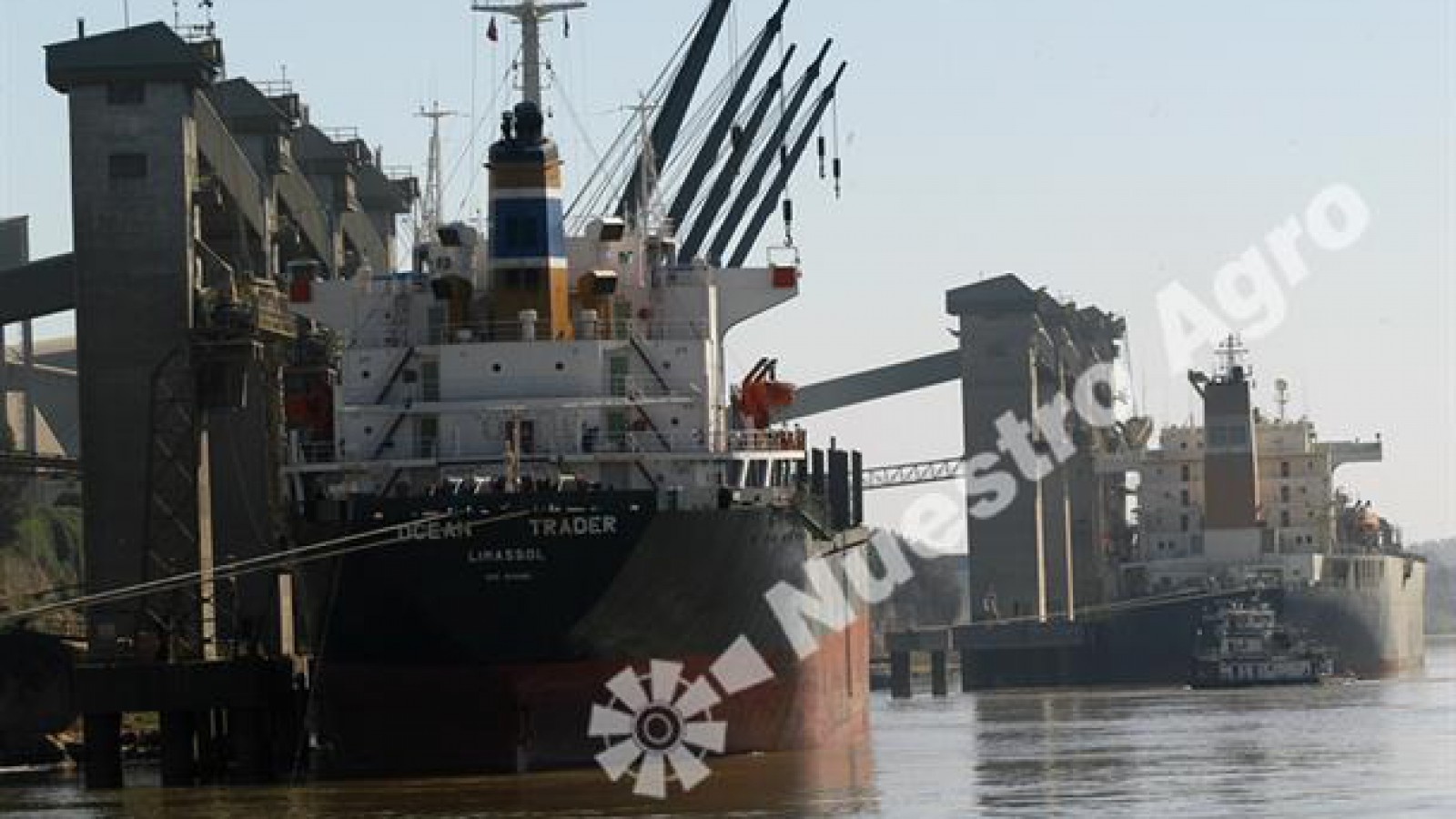 Las cerealeras liquidaron divisas por más de 240 millones de dólares en la última semana